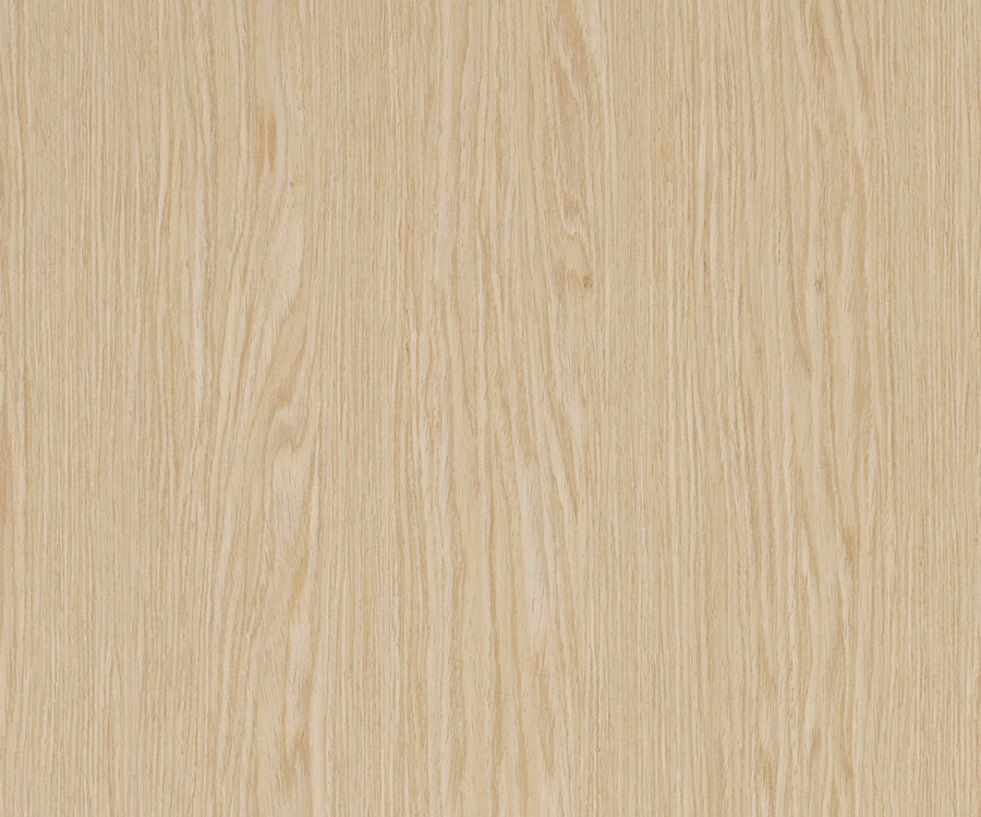 European Oak