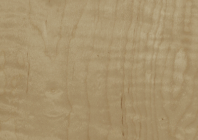 Curly Maple