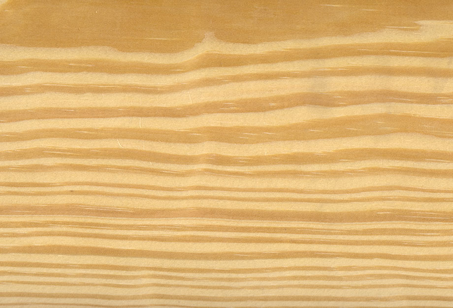 southern yellow pine